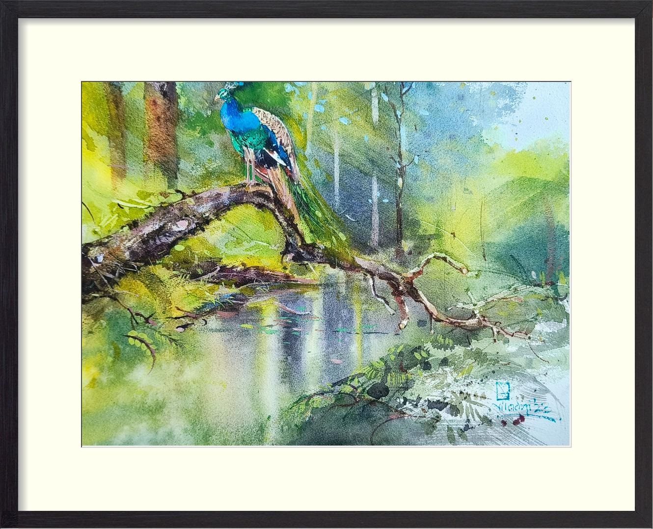 image-product-hover